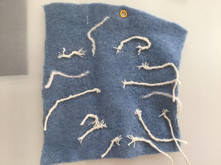 siphonophore deep sea organism