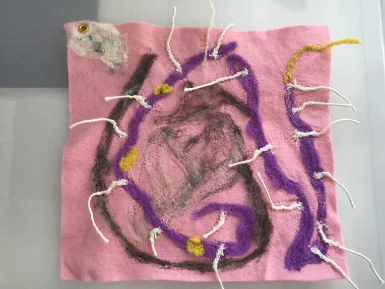 siphonophore deep sea organism 