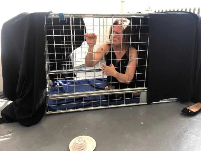 Performance inside the cage installation